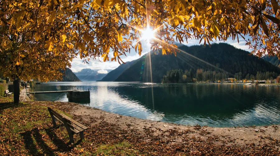 Goldener Herbst am Achensee / Tirol